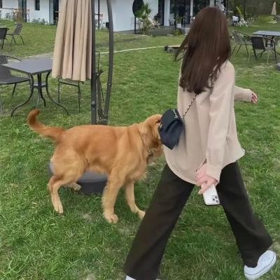 再见吧